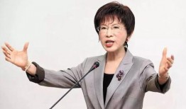 洪秀柱爆料视频大全下载,揭秘背后真相与争议