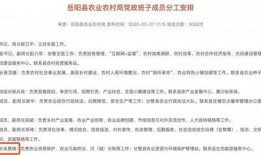 湖南农村爆料新闻视频播放,视频揭示惊人真相，村民生活现状引关注