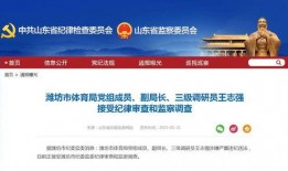 潍坊爆料最新新闻消息,聚焦城市动态与民生焦点