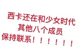 韩娱圈最新爆料视频,最新爆料视频深度解析