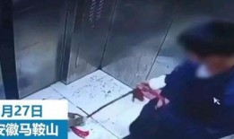 小男孩被爆料怎么办视频,真相与舆论的漩涡