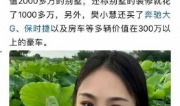 樊小慧 爆料视频大全,揭秘背后真相与争议
