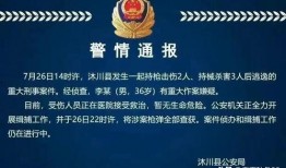 四川枪击案爆料最新进展,案情升级，警方全力追捕嫌疑人