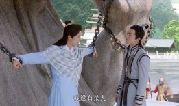 择天记47在线观看,风云变幻，命运抉择！