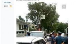 河南安阳最新爆料,揭秘古城神秘事件背后的真相