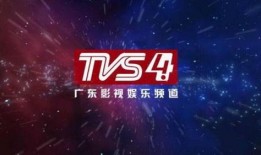 广东电视直播在线观看,广东电视节目精彩纷呈，一键观看无间断