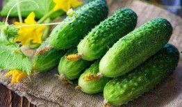 娱乐吃瓜花,吃瓜花背后的故事