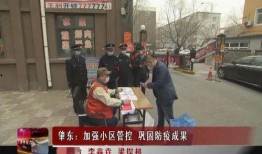 肇东最新爆料新闻事件,最新事件引发社会关注