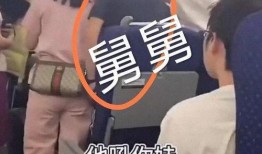 舅舅爆料视频大全最新版,揭秘娱乐圈不为人知的秘密