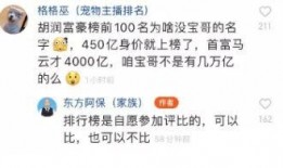 东方阿保爆料家底视频,财富背后的故事与启示