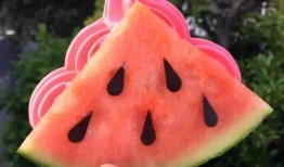 大家都是吃瓜网红吗,网红时代众生相