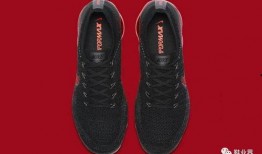 maxfly最新爆料,揭秘未来飞行科技新突破