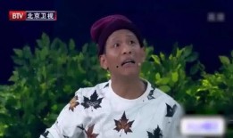 宋小宝相亲爆料视频,揭秘娱乐圈幕后趣闻