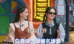 爆料白鹿综艺视频大全,笑料百出，精彩瞬间大盘点