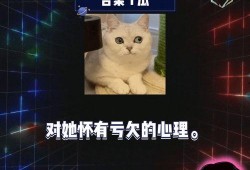 吃瓜娱乐圈八卦qq群,QQ群里的吃瓜盛宴