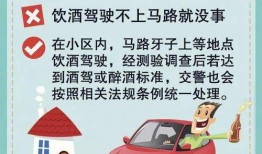 深圳外卖车爆料视频最新,惊曝外卖行业内幕，真相令人震惊！