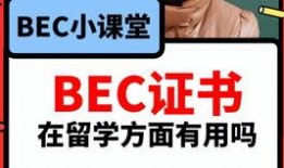 往期吃瓜爆料视频在线观看,往期吃瓜爆料视频大汇总，精彩瞬间尽收眼底