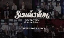 seventeen在线观看,在线观看解锁青春魅力