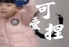 李老八爆料视频播放大全,揭秘娱乐圈不为人知的一面