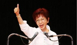 洪秀柱爆料视频大全下载,揭秘背后真相与争议