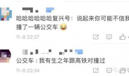 网友爆料火车视频下载,揭秘高铁运行瞬间
