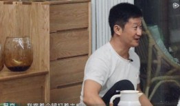 吴京妻子爆料视频大全,揭秘明星夫妻的甜蜜与挑战