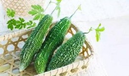 免费吃瓜黄钰杰,揭秘网络红人的崛起之路