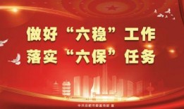合肥北一环爆料新闻事件,真相与影响揭秘