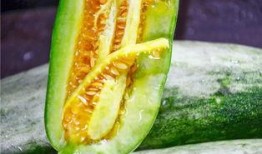 大家都是吃瓜网红吗,网红时代众生相