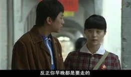 人间情缘乐视在线观看,乐视独家呈现的浪漫爱情故事