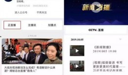 爆料新闻歌曲视频大全,盘点热门事件背后的音乐力量