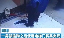 小男孩被爆料怎么办视频,真相与舆论的漩涡