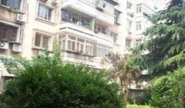 娱乐吃瓜酱上海小区,娱乐吃瓜酱带你揭秘邻里八卦