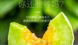 夸克吃网红的瓜,夸克探秘美食江湖