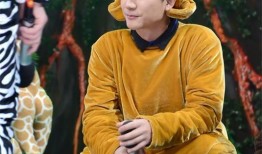 袋鼠先生爆料视频在线观看,独家揭秘幕后真相