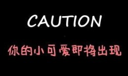 娱乐吃瓜酱网文