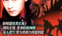 电视剧猎人在线观看,揭秘神秘猎人世界，在线观看开启冒险之旅