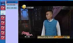 辽宁卫视在线直播高清观看,尽享视听盛宴