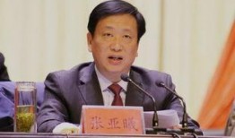 河南冯浩爆料最新消息,揭秘事件背后惊人真相