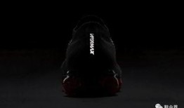 maxfly最新爆料,揭秘未来飞行科技新突破