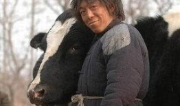 黄渤爆料大爷视频大全下载,大爷视频大全背后的温馨故事