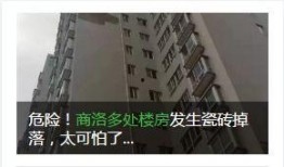 商洛网友最新爆料,揭秘某事件背后真相！
