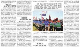 潍坊爆料最新新闻消息,聚焦城市动态与民生焦点