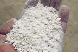 红薯淀粉最新爆料,揭秘行业最新爆料与未来趋势