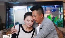 电视剧婚战在线观看全集,揭秘现代婚姻的甜蜜与苦涩