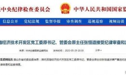 潍坊爆料最新新闻消息,聚焦城市动态与民生焦点