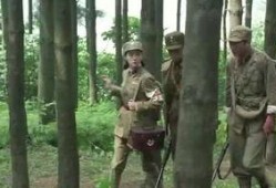 老杨最新爆料视频大全在线观看,视频大全在线观看，精彩内容抢先看