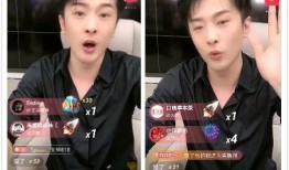东方阿保爆料家底视频,财富背后的故事与启示