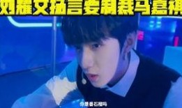 美媒爆料刘耀文视频事件,美媒揭露娱乐圈风波背后真相