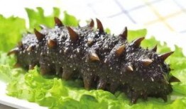 烟台海参爆料视频大全图片,视频大全图片解析行业真相